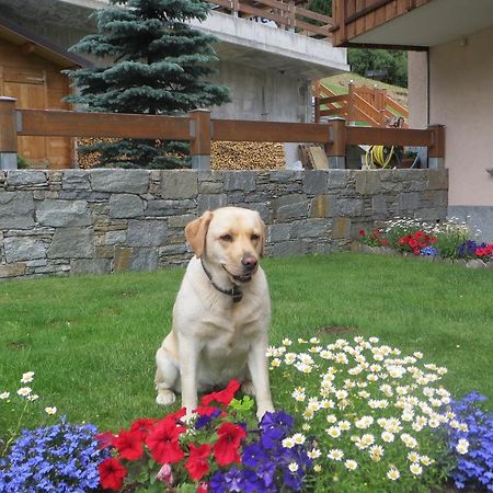 Апартаменты Casa Lucia Изолачча Номер фото